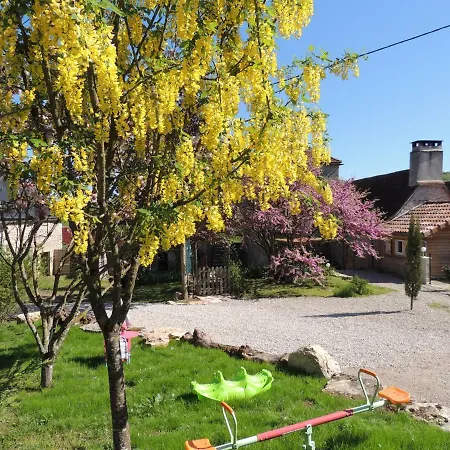 匹吉奥尼尔民宿 *